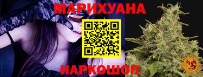 сатива Будённовск